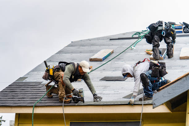 Professional Roof Replacement technician working in Los Alamos, CA